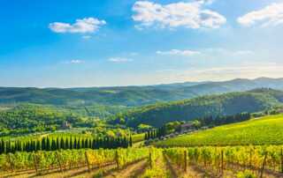 Pricing Vineyard Land