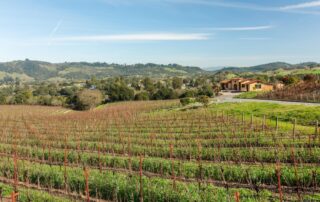 6550 Sunny Meadows Trl